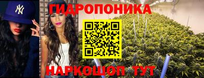 дмт Гагарин