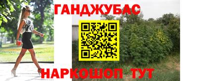 прущие крисы Гай