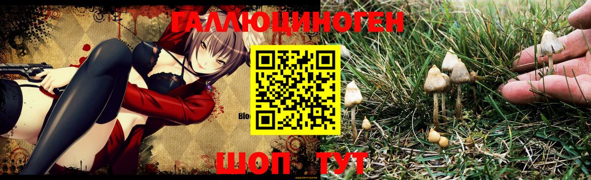 Галлюциногенные грибы Psilocybe  Вход с VPN  Псилоцибиновые грибы мухоморы  Воркута 